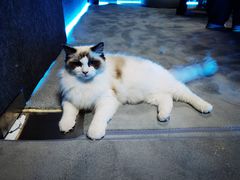 -零纪元VR体验馆·桌游(黄浦店)