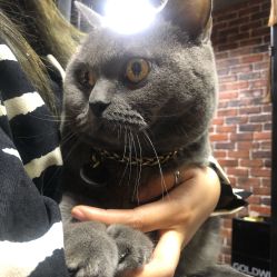 -青木造型HAIR·あおき髪を刈る潮人店