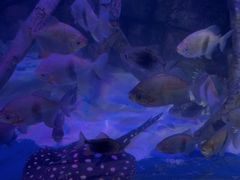 -沈阳海洋探索中心