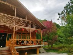 -参仙谷生态旅游度假区