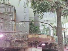 -正佳雨林生态植物园