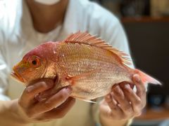 -镹·鱼料理  国产鱼使用店