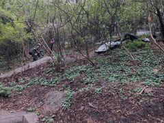 -北极阁公园