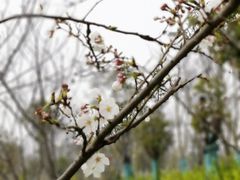 -广富林郊野公园