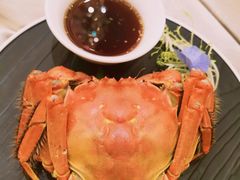 -上海南新雅大酒店