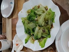 -东鸽皇(奥园·中环广场店)