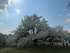 -沈阳植物园