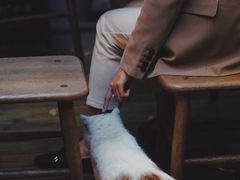 -懒鱼时光馆(沙坪坝店)