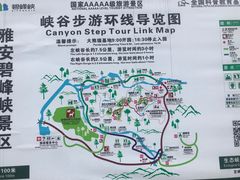 -碧峰峡风景区