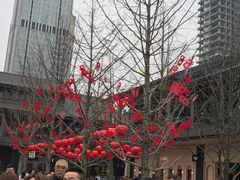 -面爸爸豆瓣抄手(贝森旗舰店)