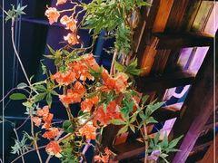 -枚青·临安酒肆(腾飞大厦店)
