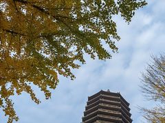 -玲珑塔公园