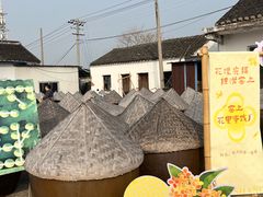 -苏州市吴中区光福窑上花果蜜饯厂