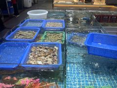 -皮记海鲜1995(寮步店)