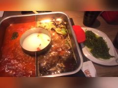美味海藻-新辣道鱼火锅(上地华联店)
