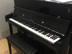 -珠江钢琴艺术中心(文一路店)