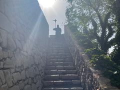 -原山国家森林公园