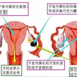 -邢台妇产医院