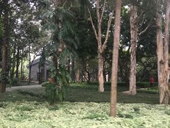 -南宁南湖公园