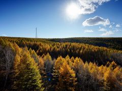 -塞罕坝国家级自然保护区