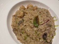 -一棵树·意大利西餐厅One Tree(新城店)