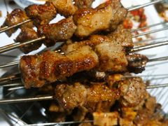 -大萝卜烧烤羊蝎子烤全羊(新城河路店)
