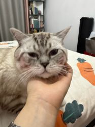 -MOVAN  HAIR莫凡匠人发型屋