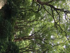 iphone_upload_pic-湖南烈士公园(芙蓉区)