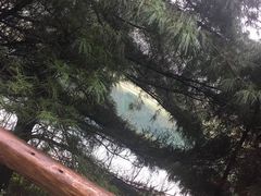 -武陵山森林公园