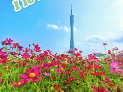 -海心沙亚运公园