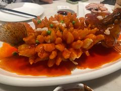松鼠桂鱼-新梅华餐厅(星悦汇店)