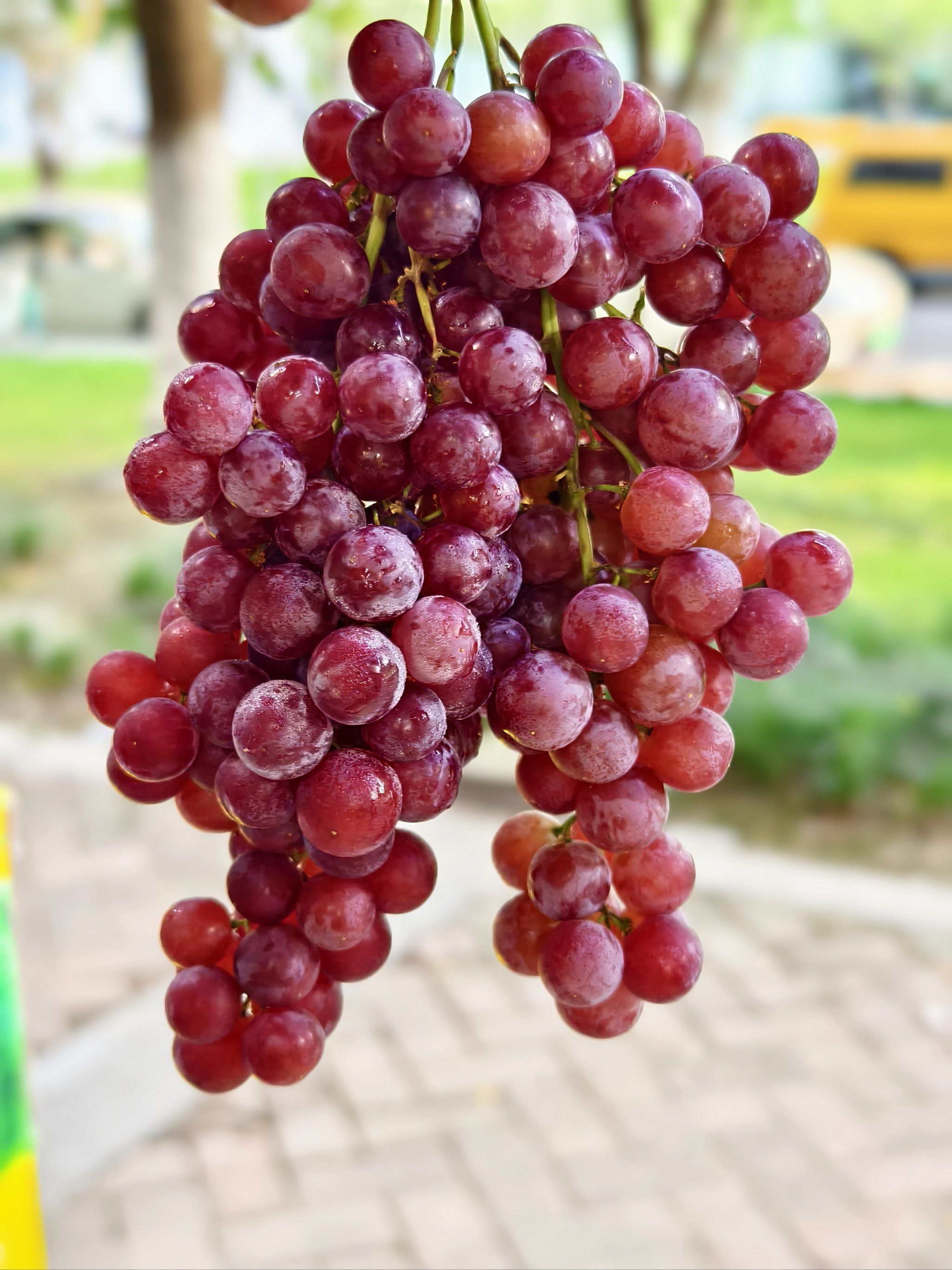 来自新疆的玻璃脆 没想是这个味道