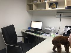 -宠颐生动物医院·猫科·心脏科(海口分院)