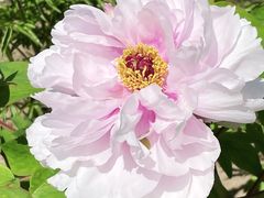 -狼山风景名胜区