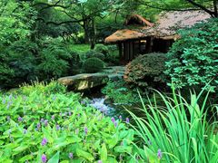 -中国茶叶博物馆(双峰馆区)