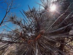 -鹫峰国家森林公园