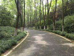 -宜兴龙背山森林公园