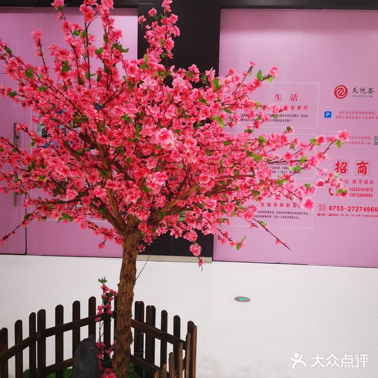 小朋友们的创意呀，真的是越来越好了