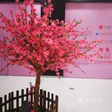 小朋友们的创意呀，真的是越来越好了