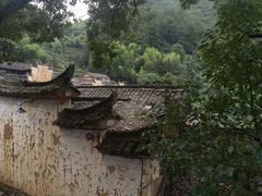 -杨家堂村