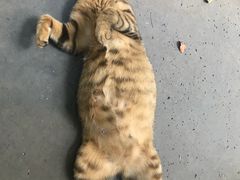 -竹吟山房