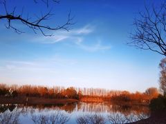 -东郊湿地公园