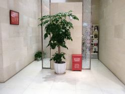 -银座Calla日式美容沙龙