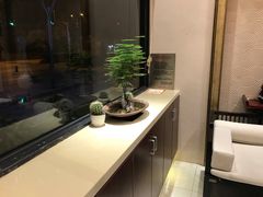 -梧桐栖·养生·spa