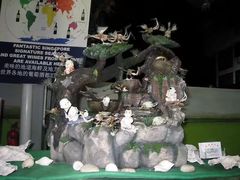 -無招牌海鮮(芽笼店)