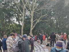 -人民公园-相亲角