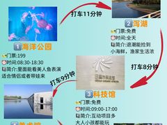 -巧克力渔家.小船海鲜胶东菜(万平口店)