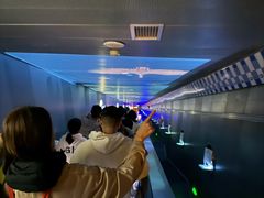 -白鹤梁水下博物馆