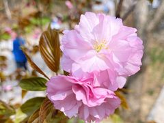 -慕田峪长城