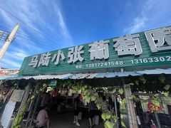 -马陆小张葡萄园农家乐